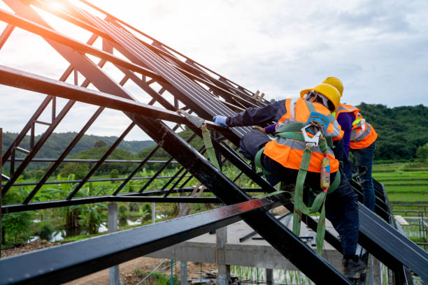 Best Roof Repair Services  in Nephi, UT