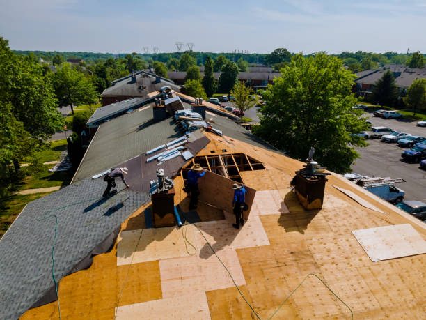 Best Storm Damage Roof Repair  in Nephi, UT