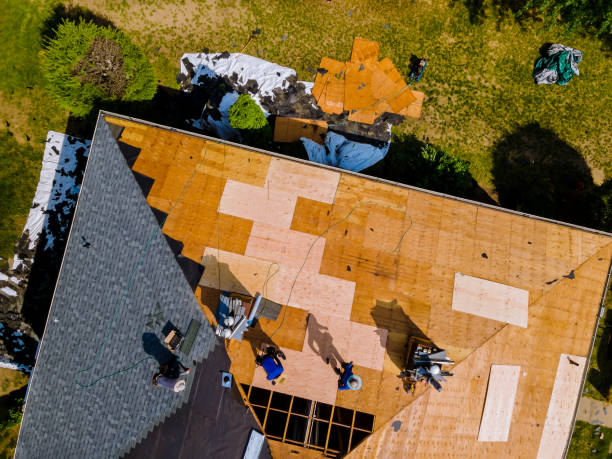 Best Roof Repair Services  in Nephi, UT