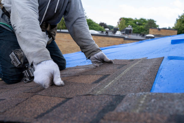 Best Commercial Roofing Services  in Nephi, UT