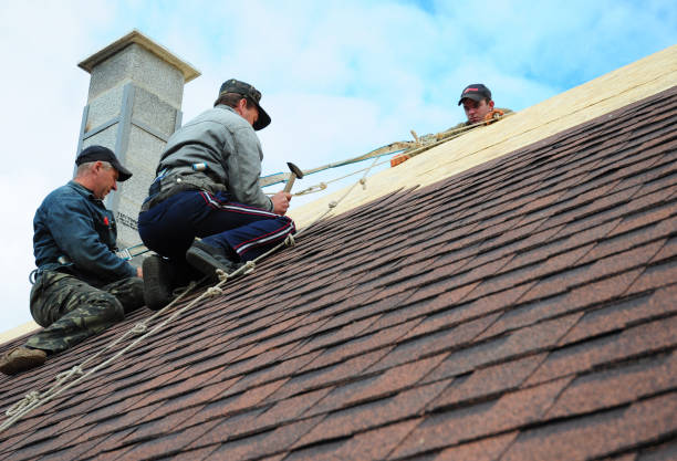 Professional Roofing Contractor in Nephi, UT